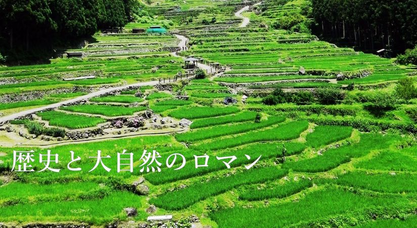 新城市観光協会 トップページ 新城市観光協会 トップページ