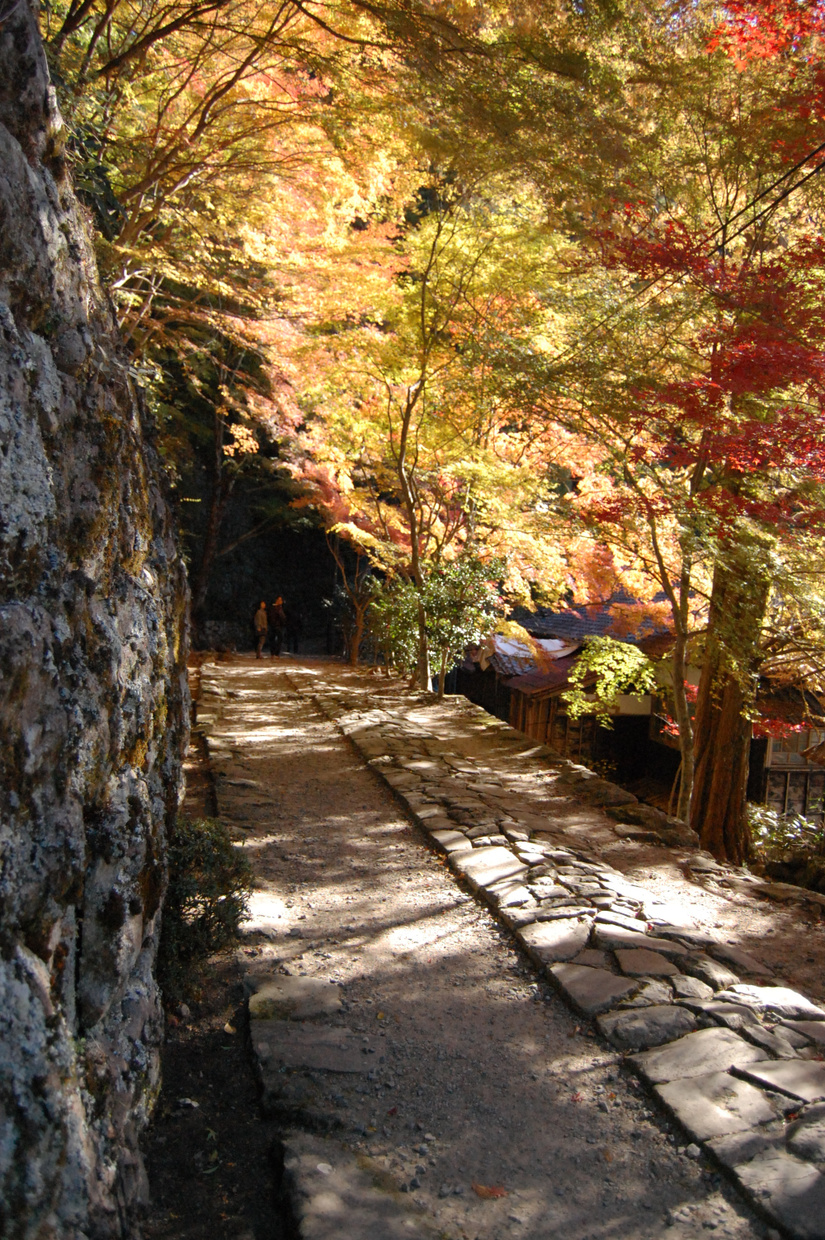 dsc_0701.jpg